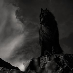 Gothic shot of WolfCub on rock with stormy skies.jpg
